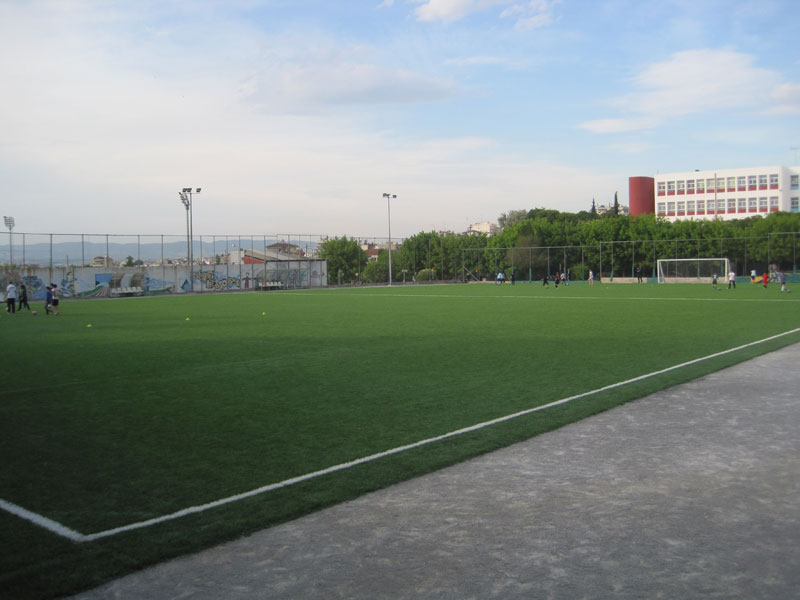 CONSTRUCTION OF SYNTHETIC TURF IN THE COURT OF NEAPOLI